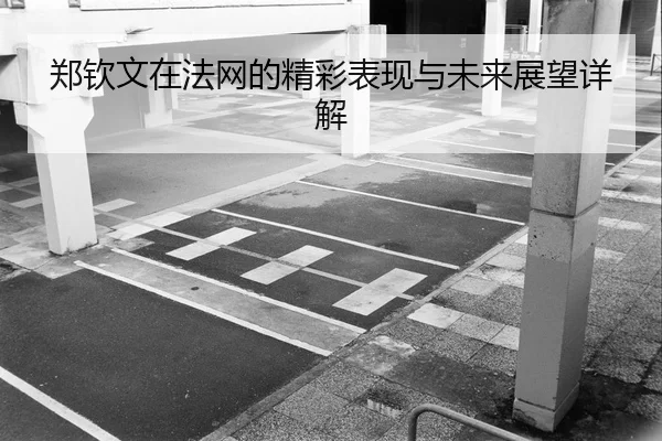 郑钦文在法网的精彩表现与未来展望详解